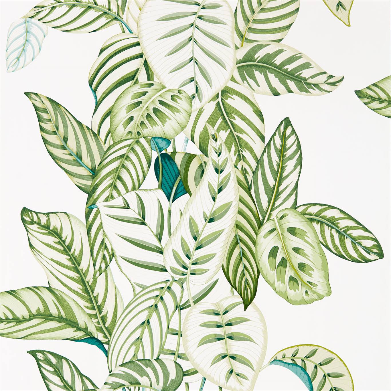 Обои Sanderson The Glasshouse Calathea 216630